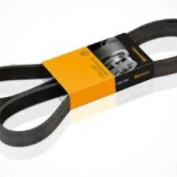 MINI N12 N14 N16 N18 Vantilatör Kayışı 6PK894 6PK895 - 11287604014 CONTITECH MINI N12 N14 N16 N18 Vantilatör Kayışı 6PK894 6PK895 - 11287604014 CONTITECH