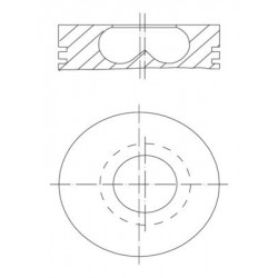 BMW Piston Diesel F10 F20 F30 F45 F46 F32 F34 F36 F39 F48 F54 F57 F60 Gt X2 X1 Clubman F55 F56 081pi00123 11258519401