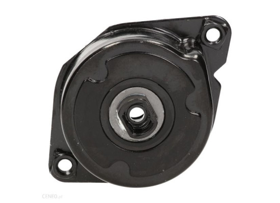 Bmw E46 Chassis 320d M47 Engine Belt Tensioner Stud Ina 64557786076 534023910 Bmw E46 Chassis 320d M47 Engine Belt Tensioner Stud Ina 64557786076 534023910