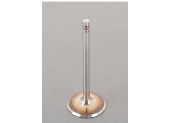 Bmw E36 Kasa 318i M43 Engine Valve Set Supar 101415108