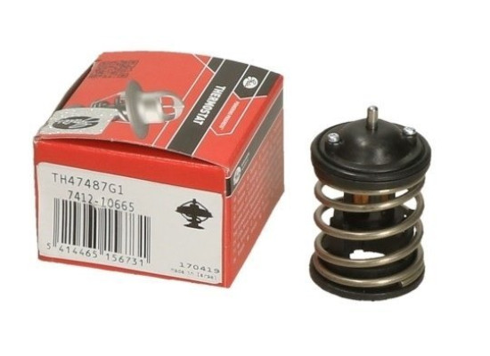 Bmw F30 Case 320d N47 Engine Thermostat Gates