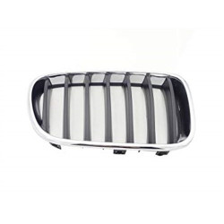 Bmw Grille Right F25 X3 2013- 51117210726