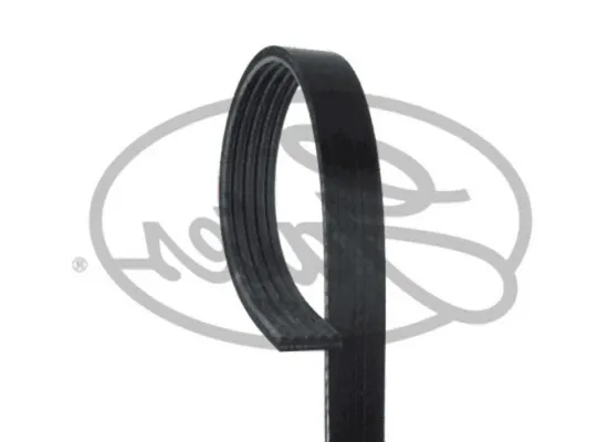 BMW E34 E36 E39 M51 Vantilatör Kayışı 5PK1815 - 11287636375 GATES BMW E34 E36 E39 M51 Vantilatör Kayışı 5PK1815 - 11287636375 GATES