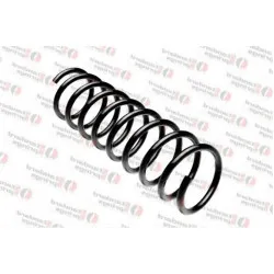 BMW E39 Arka Helezon Yayı Takım - 33531093634 STANDART YAY