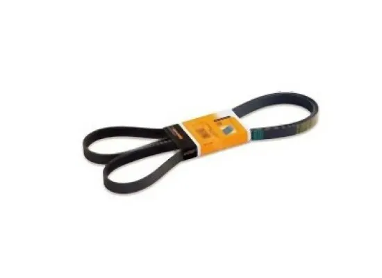 BMW E87 E90 E91 E92 E93 M47N2 M57N2 Vantilatör Kayışı 6PK1836 - 11287790450 CONTITECH BMW E87 E90 E91 E92 E93 M47N2 M57N2 Vantilatör Kayışı 6PK1836 - 11287790450 CONTITECH