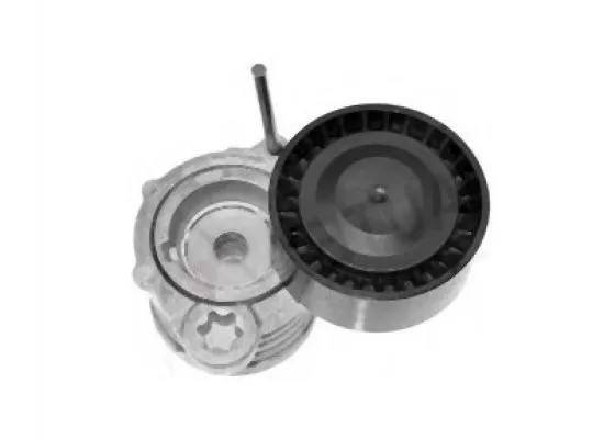 BMW M47N2 M57N2 Gergi Kütüğü - 11287790447 INA BMW M47N2 M57N2 Gergi Kütüğü - 11287790447 INA