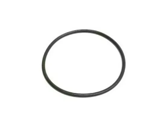 BMW MINI B36 B37 B38 B47 N13 N20 N47N N55 Yakıt Pompa Contası Oringi - 16117188567 BMW Orjinal BMW MINI B36 B37 B38 B47 N13 N20 N47N N55 Yakıt Pompa Contası Oringi - 16117188567 BMW Orjinal