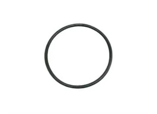 BMW MINI Vakum Pompa Oringi - 11667566483 BMW Orjinal BMW MINI Vakum Pompa Oringi - 11667566483 BMW Orjinal