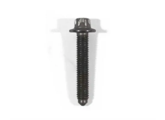 BMW MINI Zincir Kapak ve Eksantik Kep Cıvatası - 11147797493 BMW Orjinal BMW MINI Zincir Kapak ve Eksantik Kep Cıvatası - 11147797493 BMW Orjinal