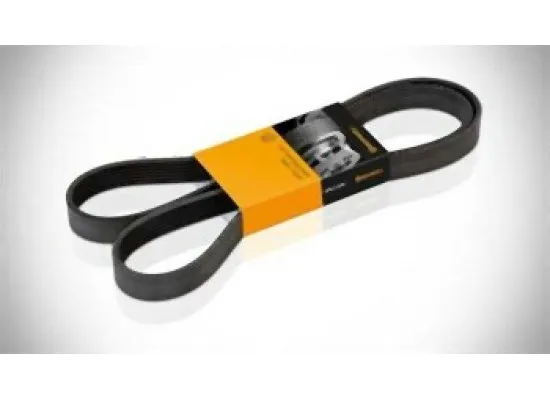 MINI N12 N14 N16 N18 Vantilatör Kayışı 6PK894 6PK895 - 11287604014 CONTITECH MINI N12 N14 N16 N18 Vantilatör Kayışı 6PK894 6PK895 - 11287604014 CONTITECH