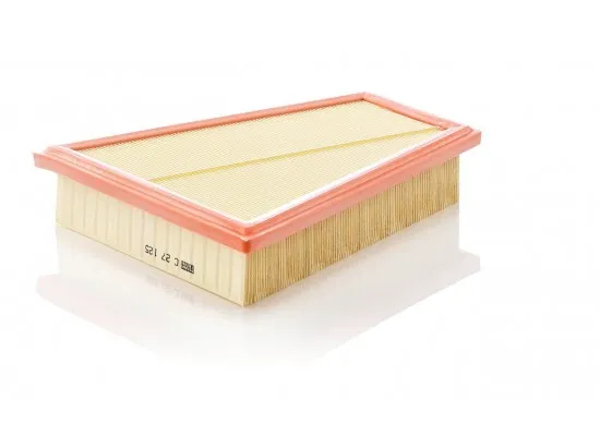 BMW N20 Hava Filtresi - 13717582908 MANN