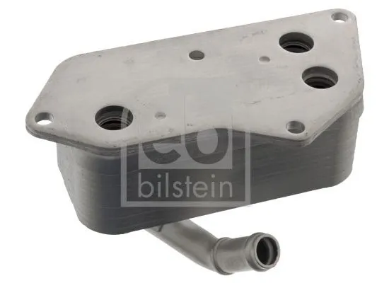 BMW N50 N52 N52N N53 N54 N55 Yağ Radyatörü - 11427525333 RADISEN