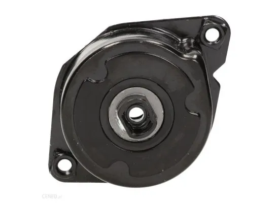 Bmw E46 Kasa 320d M47 Motor Kayış Gergi Kütüğü Ina Marka 64557786076, 534023910