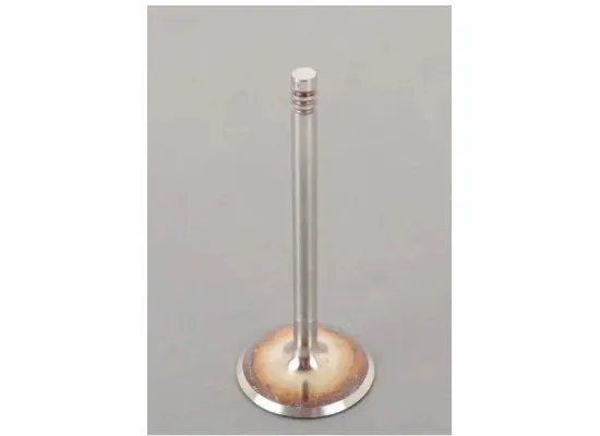 Bmw E36 Kasa 318i M43 Motor Subap Takımı Supar Marka 101415108 Bmw E36 Kasa 318i M43 Motor Subap Takımı Supar Marka 101415108