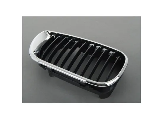 Bmw 3 Serisi E46 Kasa 2002-2005 Sol Ön Böbrek Panjur İthal 51137030545 Bmw 3 Serisi E46 Kasa 2002-2005 Sol Ön Böbrek Panjur İthal 51137030545