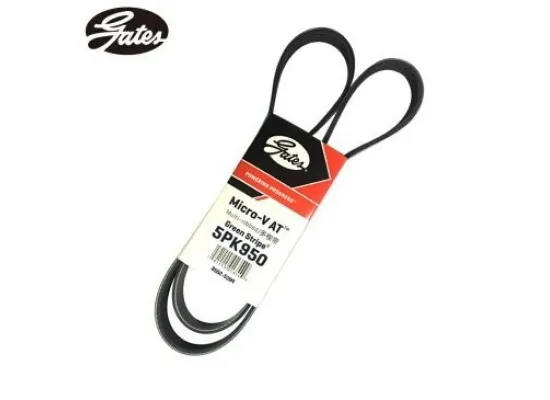 Bmw 3 Serisi E46 Kasa 318i M43 Klima Kayışı 5PK 950 Gates Marka GAT 5PK950 Bmw 3 Serisi E46 Kasa 318i M43 Klima Kayışı 5PK 950 Gates Marka GAT 5PK950