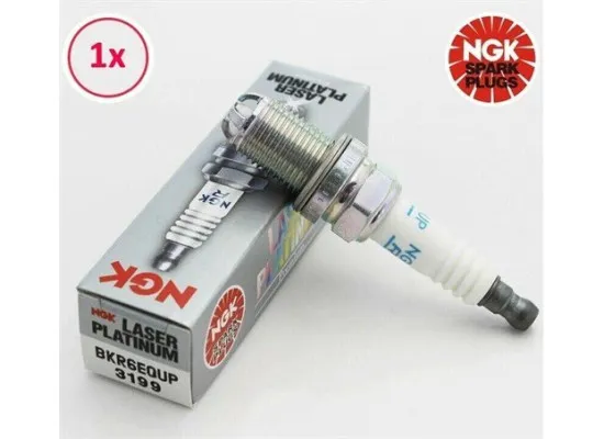 BMW Buji Bkr6equp-Dört Tirnak E39 E46 E60 E63 E64 E65 E66 E83 E53 E86 R50 R52 R53 X3 X5 Z4 Cabrio Cooper S 6343,319s Ngk 12129071003