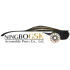GSK