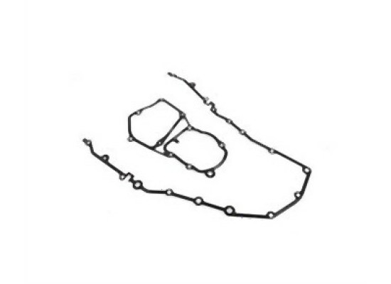 BMW E34 E36 E46 M43 Прокладка передней крышки - 11141739905 ELRING